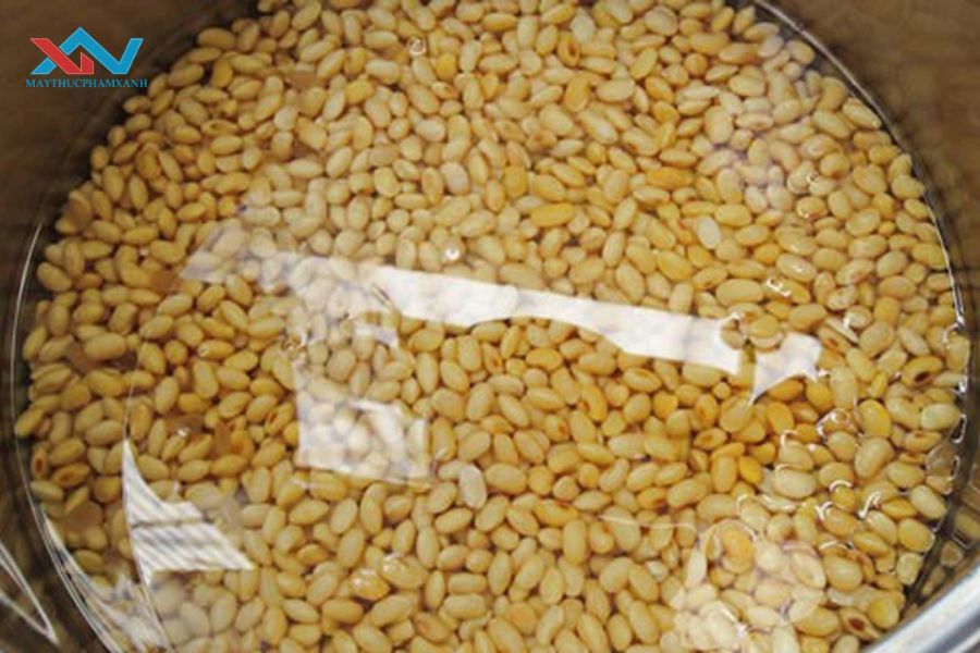 Ngâm Đậu Nành Quá Lâu Có Tốt Không? Chuyên Gia Giải Đáp Ngay