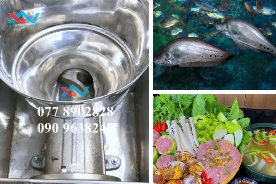 #Máy Máy Quết Chả Cá Chợ Sặt Đồng Nai, Giá Ưu Đãi