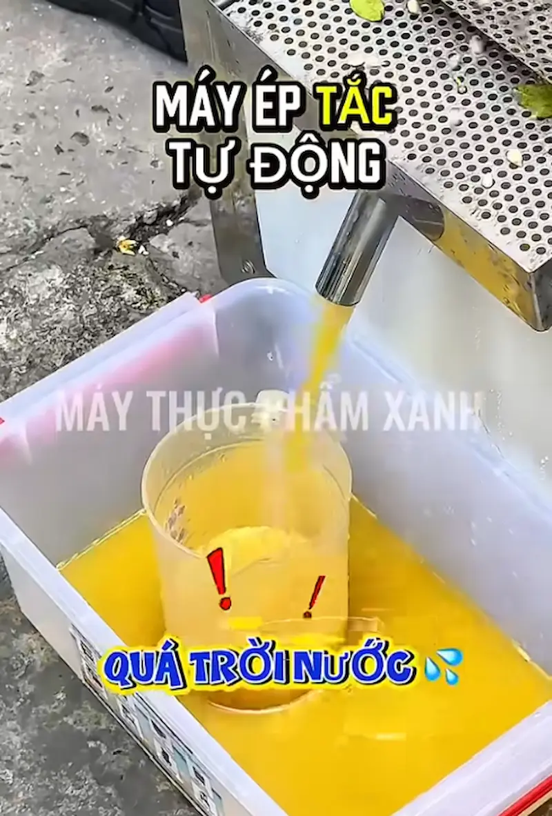 Kinh nghiệm mua máy ép tắc cho quán nước Kinh nghiệm mua máy ép tắc cho quán nước