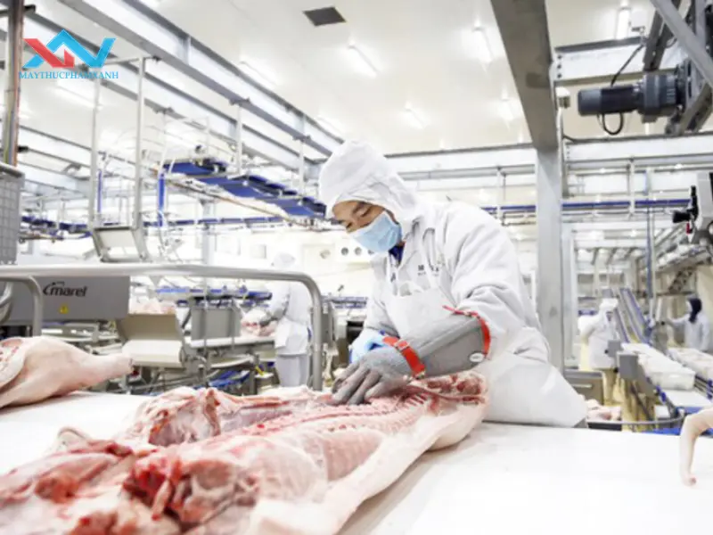 máy trộn thịt quận Bình Thạnh