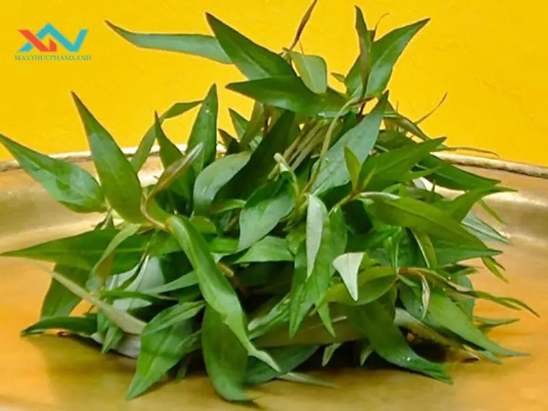 cách làm bánh tráng trộn không cần muối tôm cách làm bánh tráng trộn không cần muối tôm