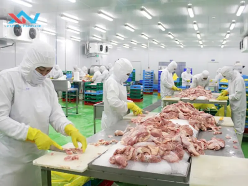 máy trộn thịt quận Bình Tân máy trộn thịt quận Bình Tân