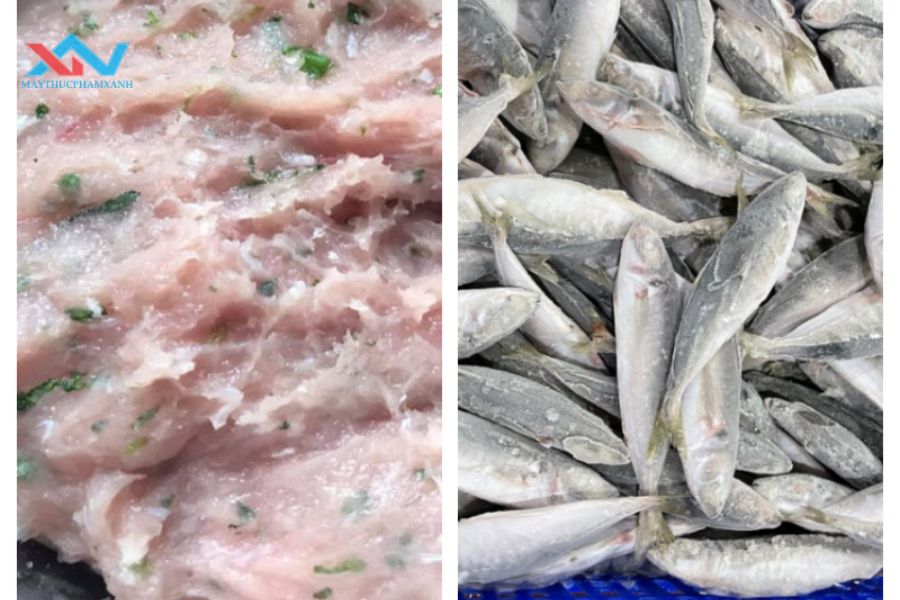 Làm Chả Cá Bằng Cá Đông Lạnh Có Được Không?