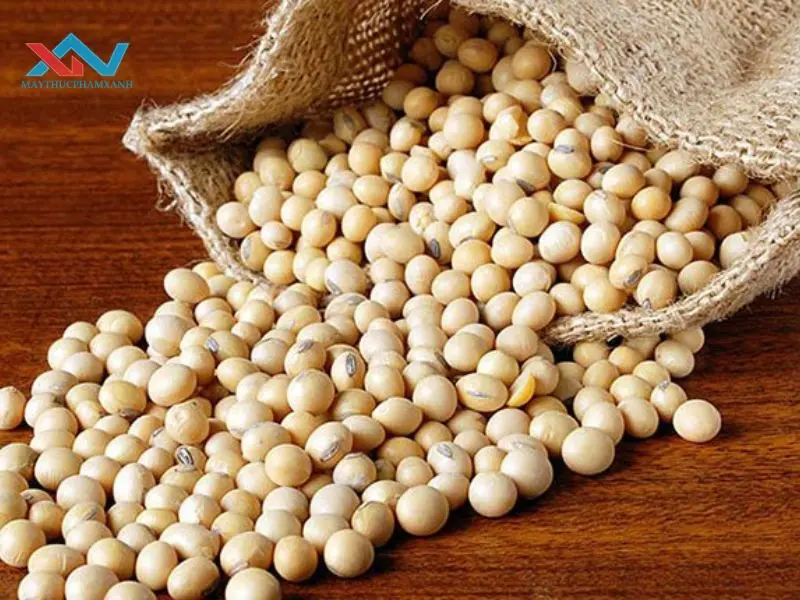 cách làm tàu hủ bằng đậu nành cách làm tàu hủ bằng đậu nành