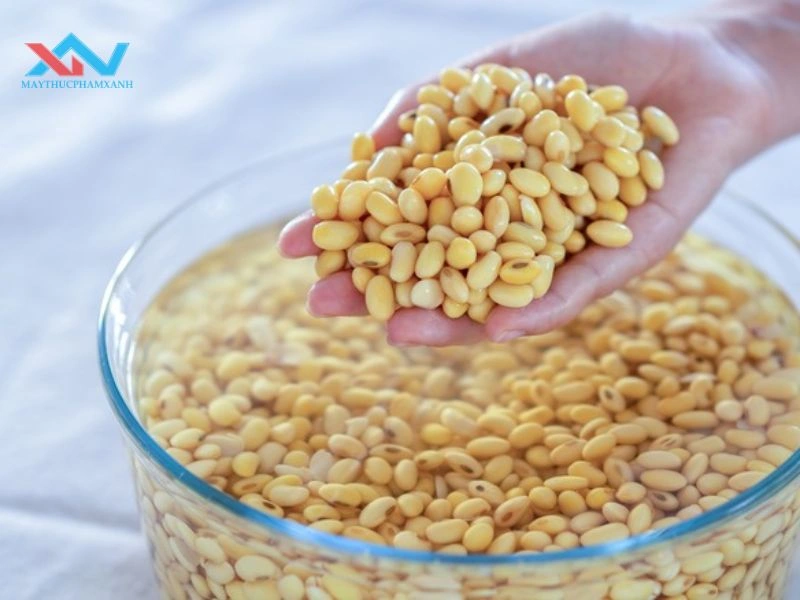 cách bảo quản đậu nành đã ngâm
