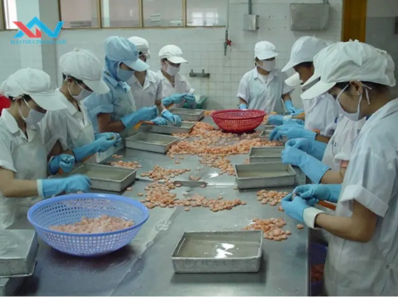 máy trộn thịt quận 4