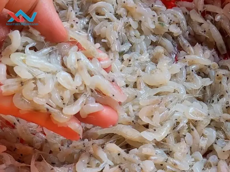 cách làm tép khô bánh tráng trộn