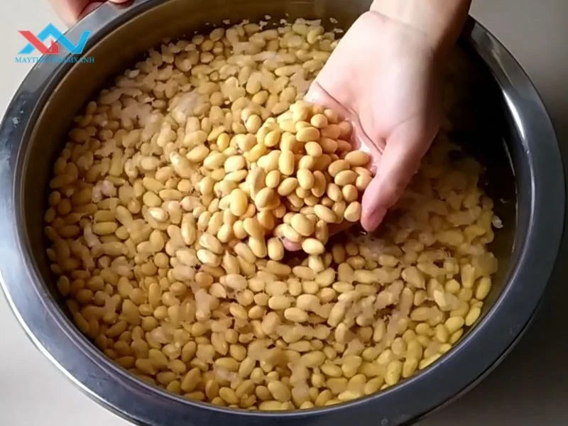 ngâm đậu nành quá lâu có tốt không