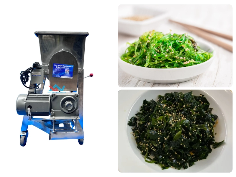 Địa chỉ mua máy trộn rong biển uy tín, giá tốt Địa chỉ mua máy trộn rong biển uy tín, giá tốt