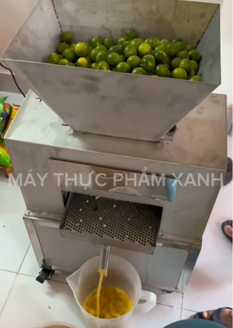Kinh nghiệm mua máy ép tắc cho quán nước Kinh nghiệm mua máy ép tắc cho quán nước