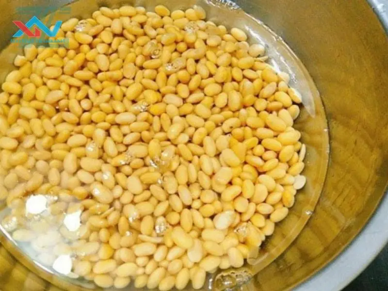 cách làm bột đậu nành cách làm bột đậu nành