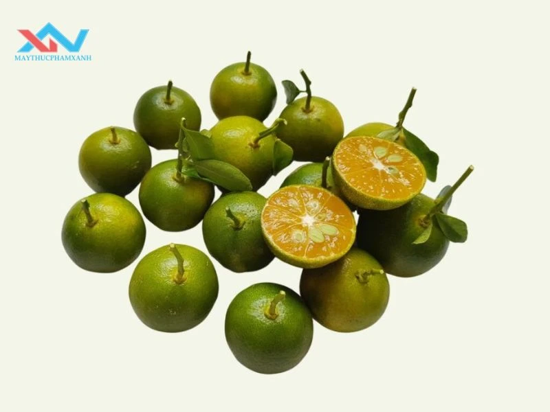 Tắc ( quất )  Tắc ( quất )