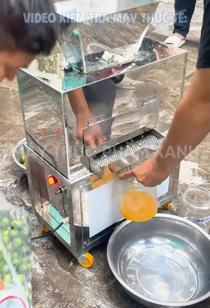 Nên chọn mua máy ép tắc tại Máy Thực Phẩm Xanh Nên chọn mua máy ép tắc tại Máy Thực Phẩm Xanh