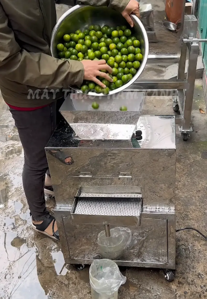 Nên mua máy ép tắc bằng tay hay bằng điện Nên mua máy ép tắc bằng tay hay bằng điện