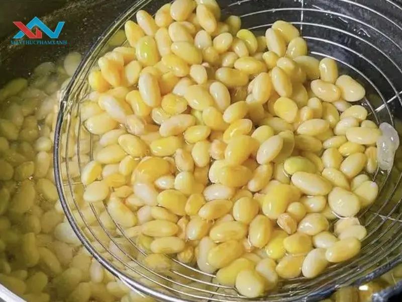 Cách Khử Mùi Tanh Đậu Nành Hiệu Quả Nhanh Chóng