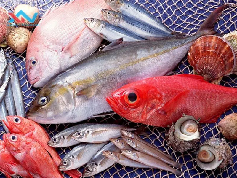 cách chọn cá làm chả cách chọn cá làm chả