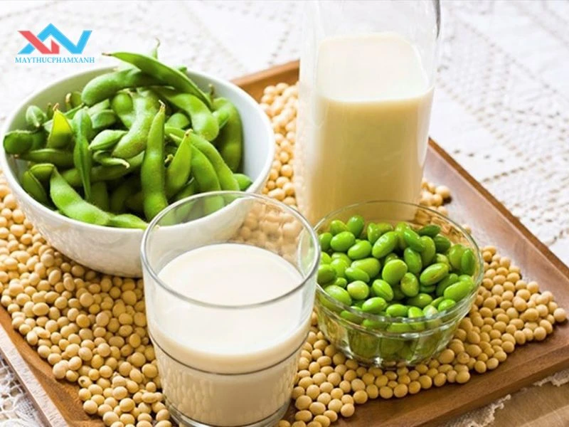 Bảo quản sữa đậu nành tự làm đúng cách Bảo quản sữa đậu nành tự làm đúng cách