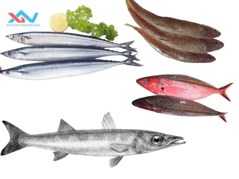 cách chọn cá làm chả cách chọn cá làm chả