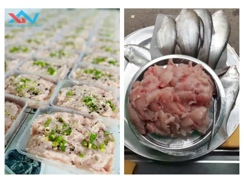 Những mẹo nhỏ giúp chả cá làm từ cá đông lạnh ngon hơn