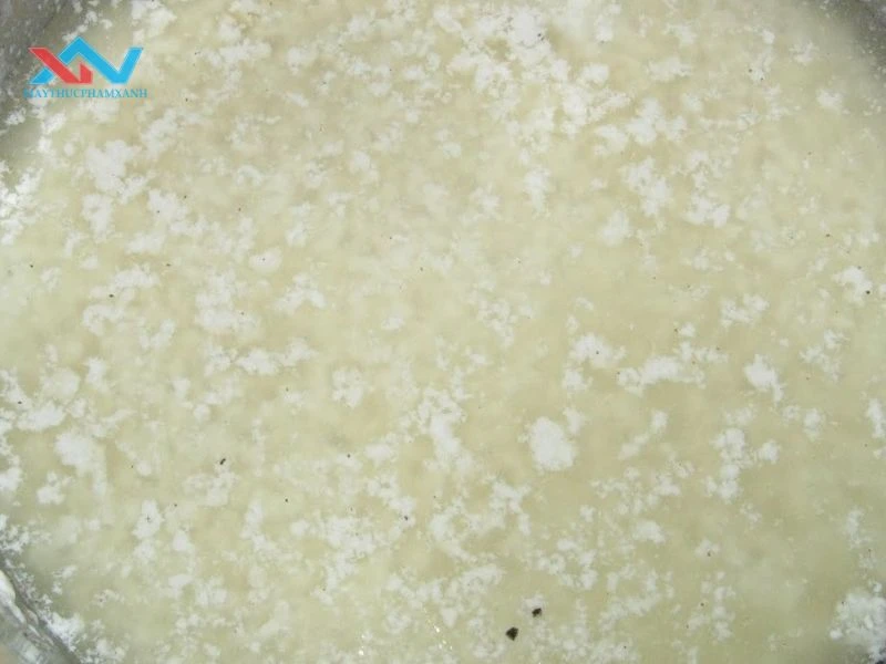 nấu sữa đậu nành bị tách nước nấu sữa đậu nành bị tách nước