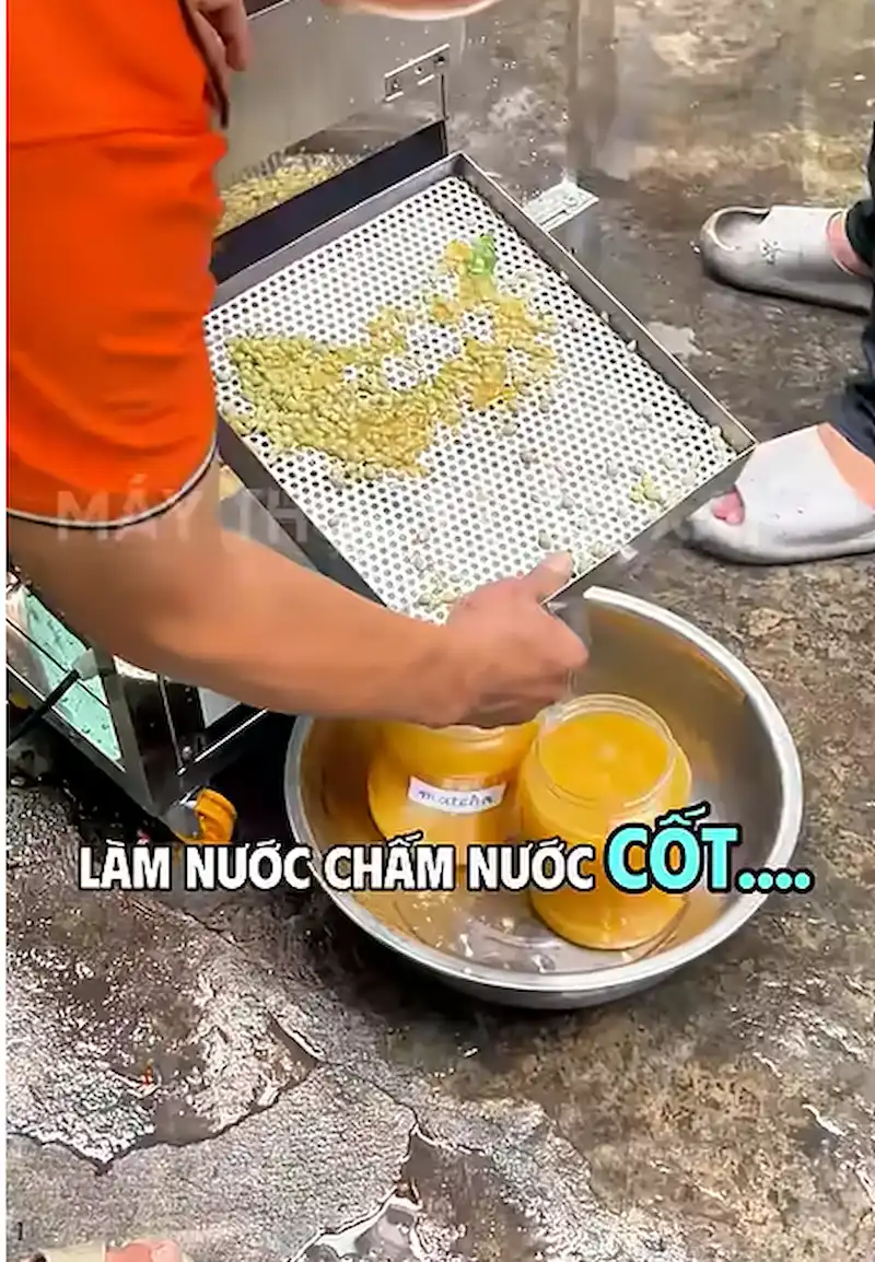 Máy ép tắc nguyên trái
