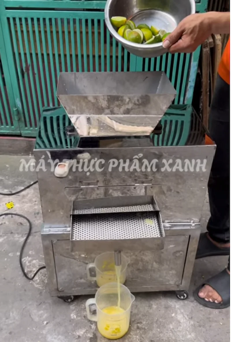 Máy ép tắc có ép chanh được không Máy ép tắc có ép chanh được không