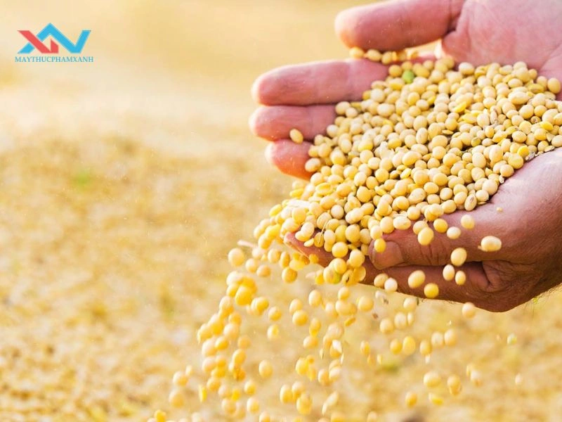 cách làm đậu hủ non