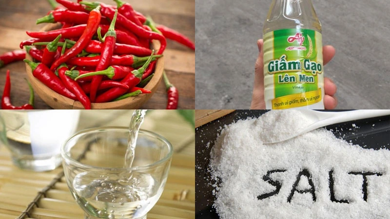cách làm ớt xay ngâm giấm để lâu cách làm ớt xay ngâm giấm để lâu