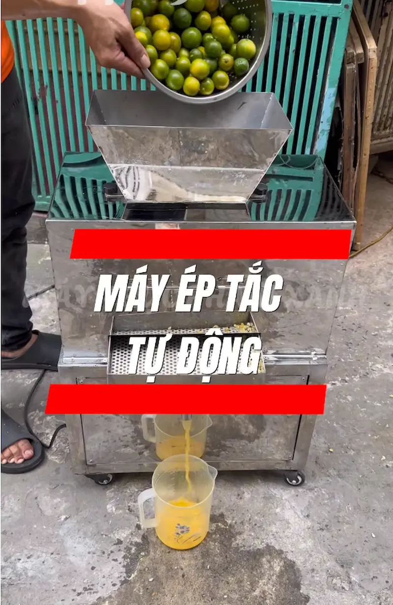 Giải pháp ép nước cốt tắc với máy ép chuyên dụng Giải pháp ép nước cốt tắc với máy ép chuyên dụng