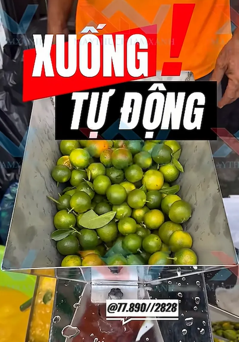 Máy ép tắc nguyên trái
