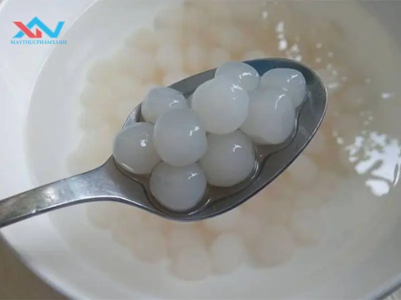 Nấu trân châu trắng với đường 