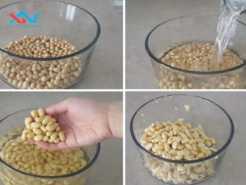 quy trình làm sữa đậu nành