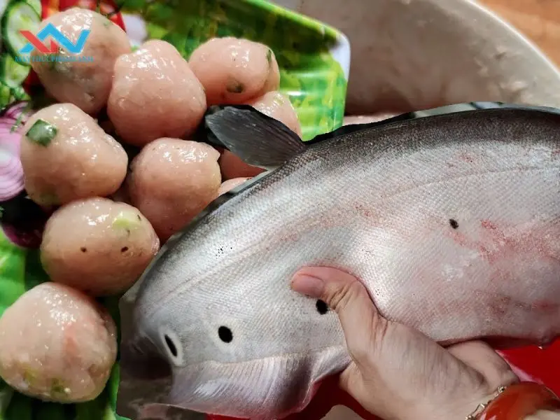 chả cá thác lác bị bở