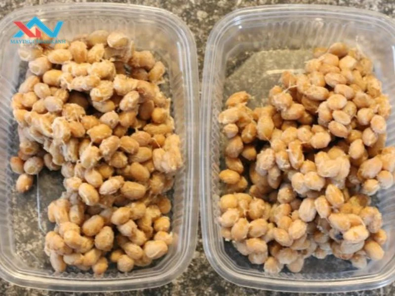 Dấu hiệu nhận biết đậu nành đã ngâm bị hỏng