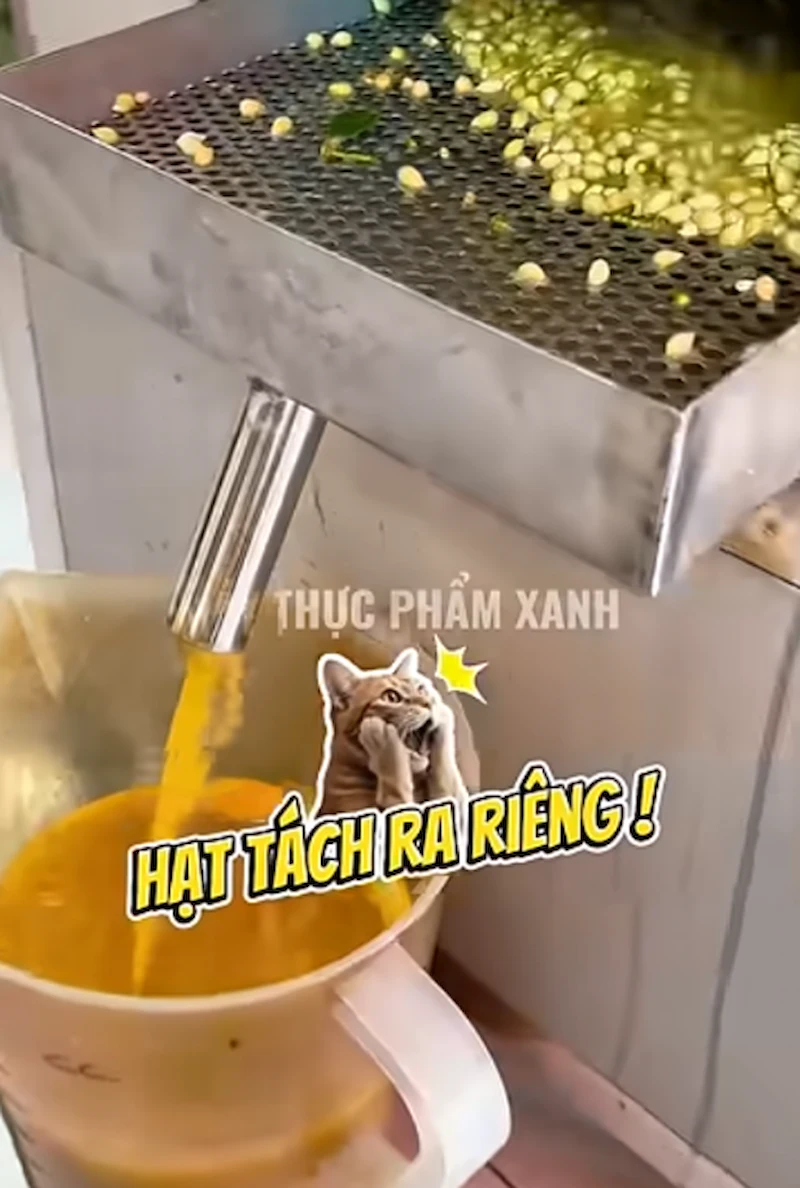 Kinh nghiệm mua máy ép tắc cho quán nước Kinh nghiệm mua máy ép tắc cho quán nước