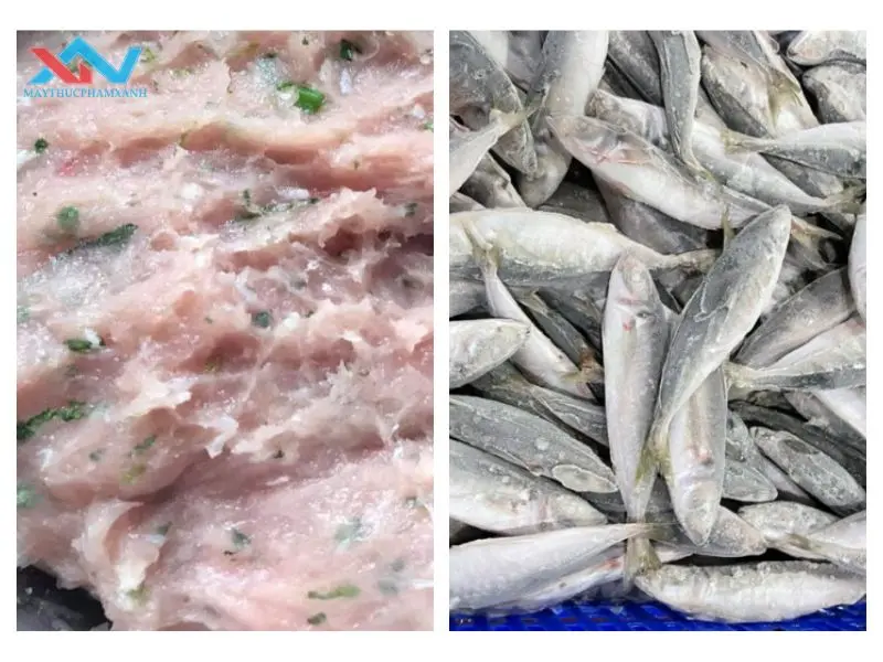 Máy quết chả cá cao cấp chuyên dụng