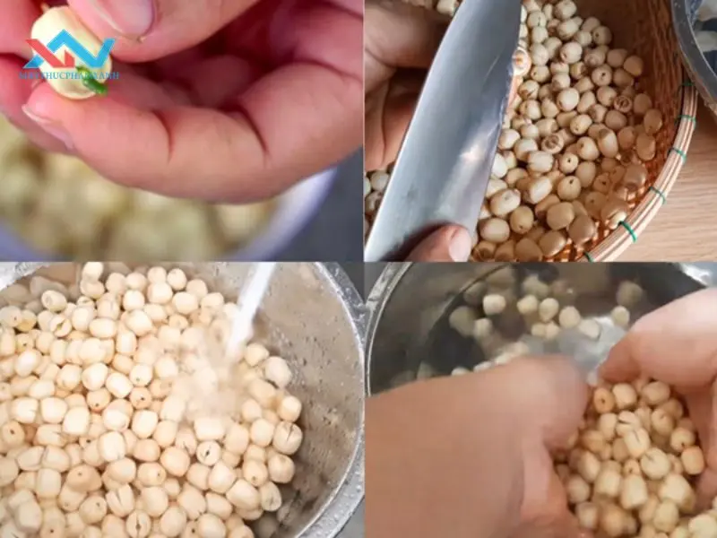 cách làm mứt hạt sen