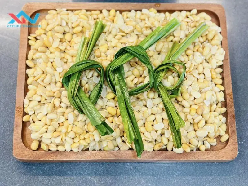 cách nấu sữa đậu nành ngon để kinh doanh cách nấu sữa đậu nành ngon để kinh doanh