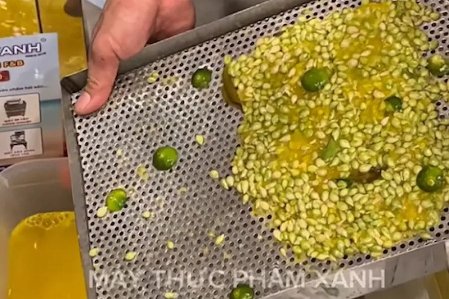 Cách Vệ Sinh Máy Ép Tắc (Quất) Sạch Tinh Dầu Từ A-Z