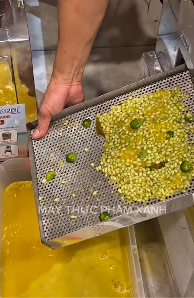 Nên chọn mua máy ép tắc tại Máy Thực Phẩm Xanh