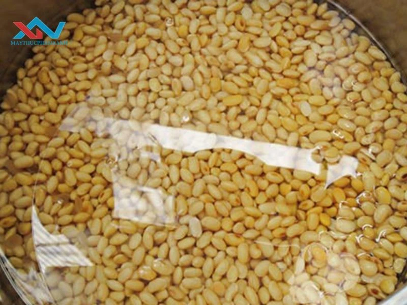 ngâm đậu nành quá lâu có tốt không