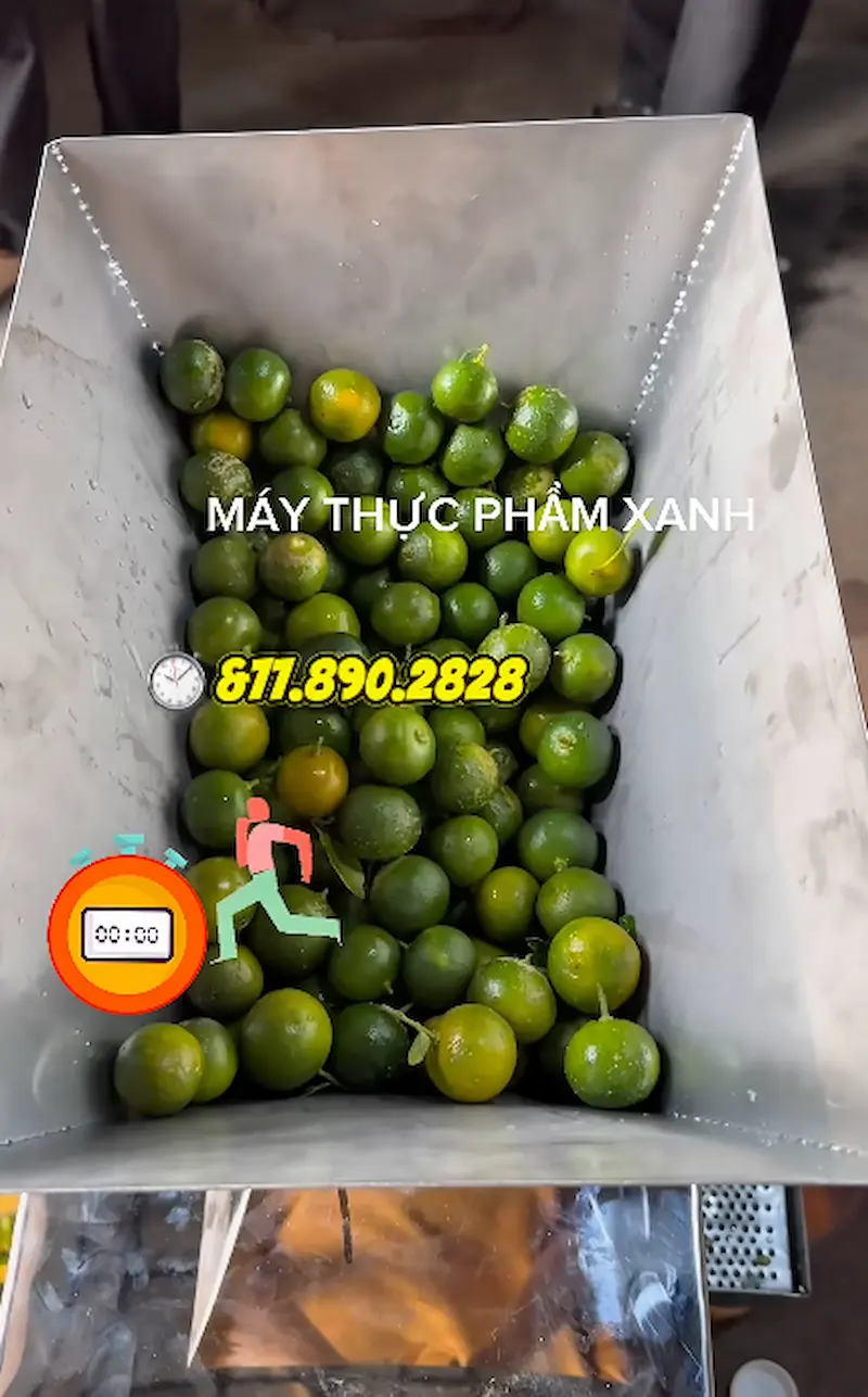 Nên mua máy ép tắc bằng tay hay bằng điện Nên mua máy ép tắc bằng tay hay bằng điện