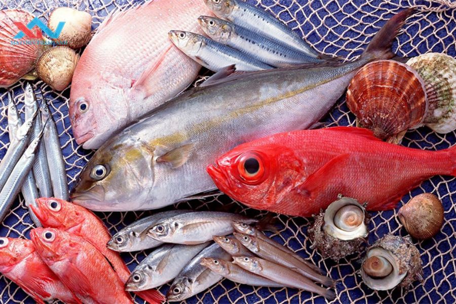 Bí Quyết Chọn Cá Làm Chả Ngon Dai, Thơm Lừng Chuẩn Vị Tại Nhà