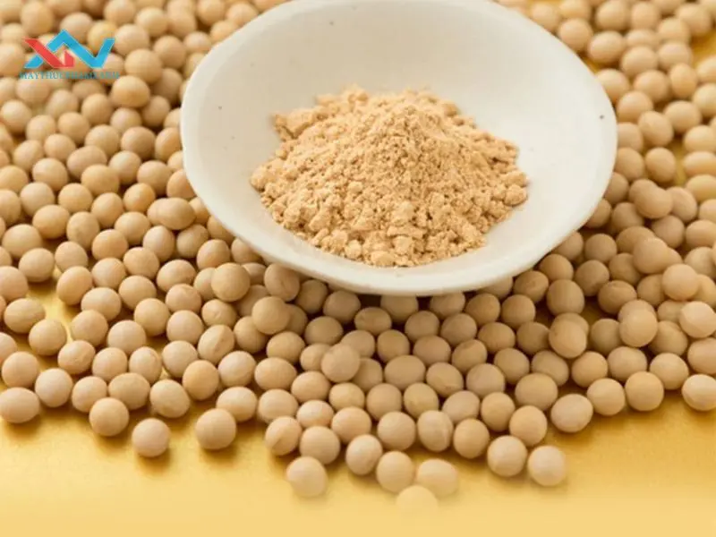 cách làm bột đậu nành cách làm bột đậu nành