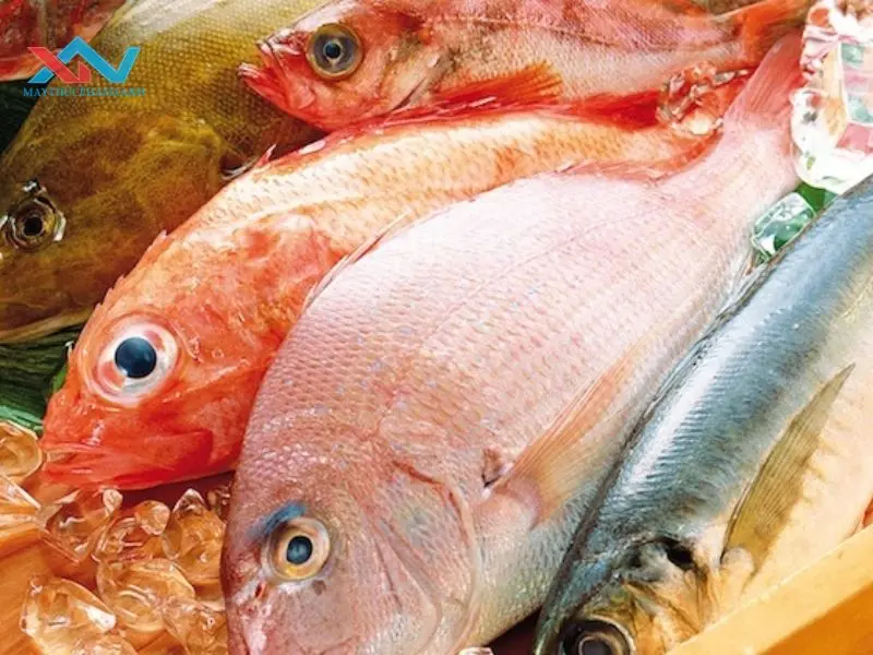 cách chọn cá làm chả cách chọn cá làm chả